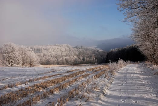 Winter Magic