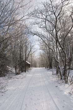 Winter