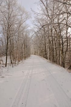 Path