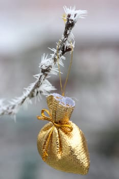 Winter gift