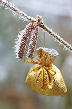 Gift in winter time