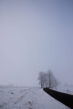 Winter