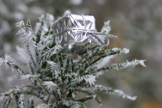 Nature's gift