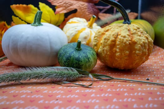 Festive autumn halloween fall harvest background pumpkin's and squash. High quality photo