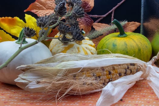 Festive autumn halloween fall harvest background pumpkin's and squash. High quality photo