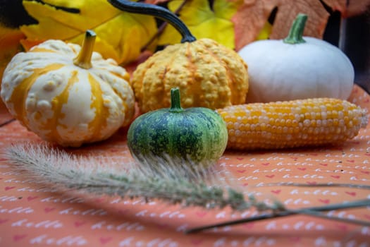 Festive autumn halloween fall harvest background pumpkin's and squash. High quality photo