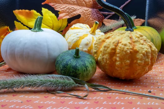 Festive autumn halloween fall harvest background pumpkin's and squash. High quality photo