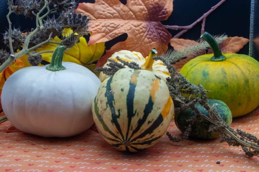 Festive autumn halloween fall harvest background pumpkin's and squash. High quality photo