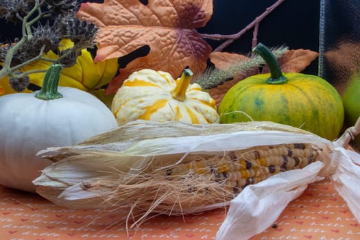Festive autumn halloween fall harvest background pumpkin's and squash. High quality photo