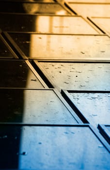 Glass ceiling