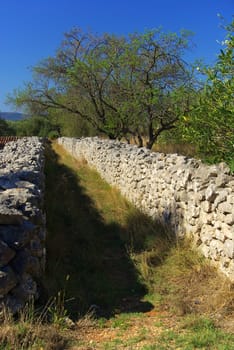 Wall 08