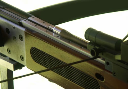 Crossbow