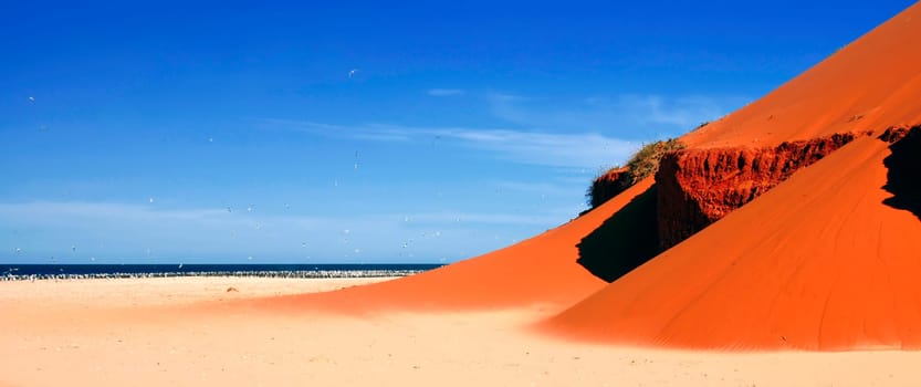 Australia's westernmost city is located on the Peron Peninsula,an elongated peninsula in Shark Bay. The bay has been designated a World Heritage Park by UNESCO since 1992,in particular for its pristine and fascinating fauna.