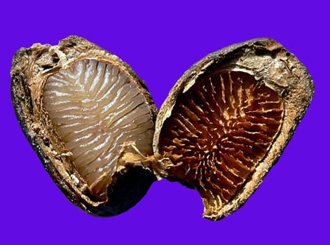 the inside of a cherimoya core