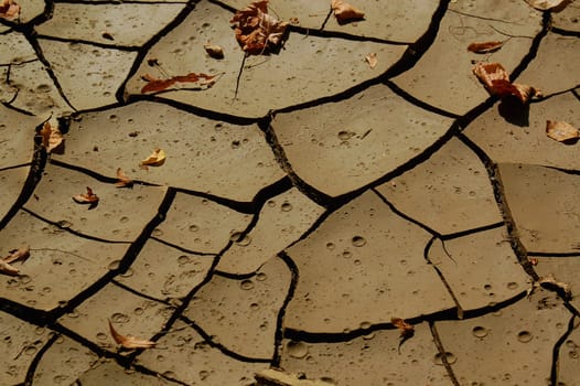 dryness