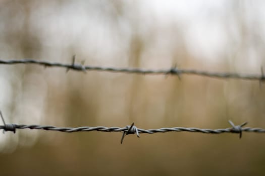 Barbed wire