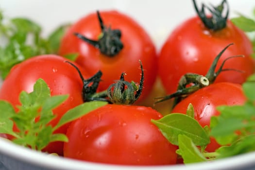 Tomatoes