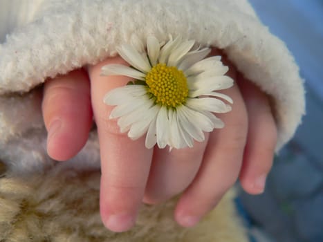 small hand