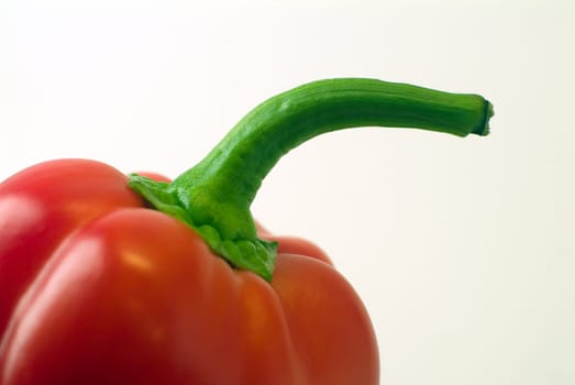 Red bell pepper green stem