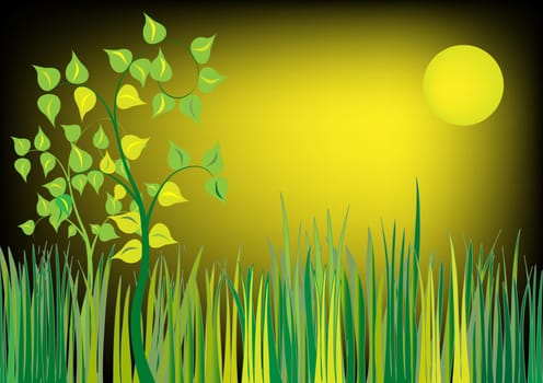 Meadow in the moonlight