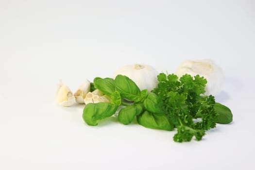 Herbs