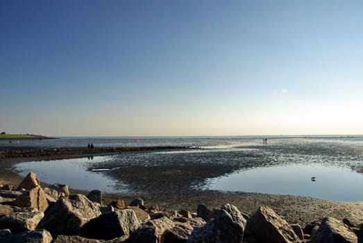 Wadden Sea2