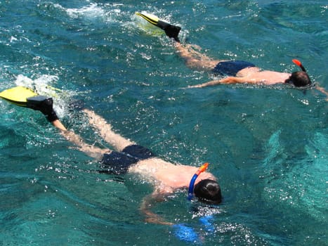 Snorkeling - men snorkeling