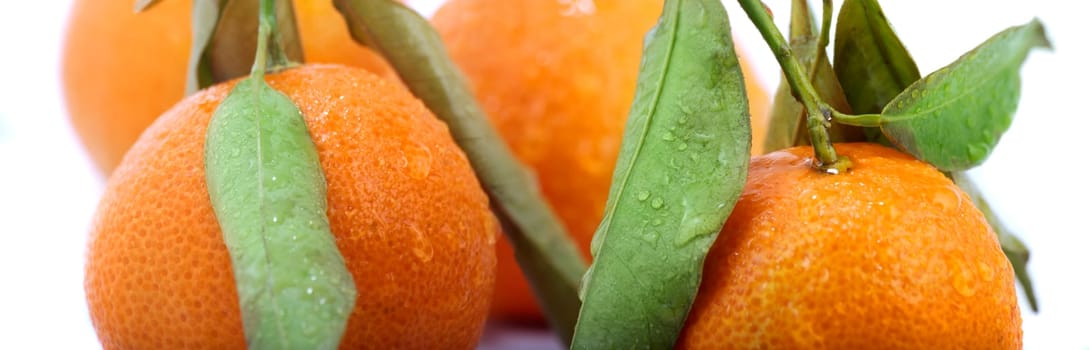 Tangerines with style