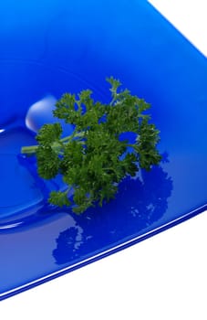 Parsley in blue bowl