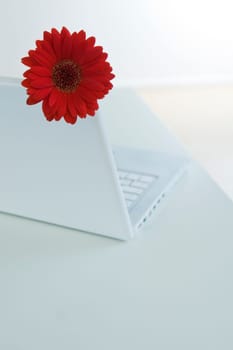 Laptop with flower