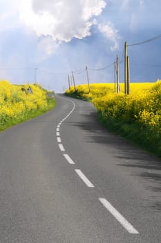 Thru the rape fields