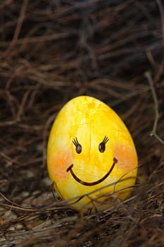 Funny Easter Egg Smiley
