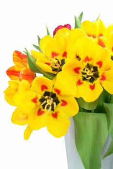 Bouquet of tulips with dewdrops