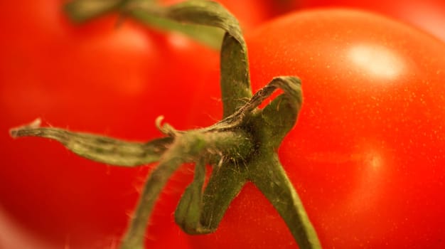 Vine tomatoes - close-up