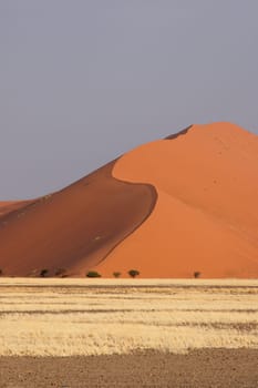 Dune in Namibia