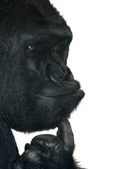 The Thinker