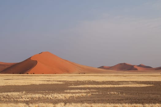 Dune in the Namib