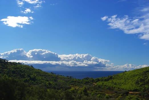 Mljet Coast 12