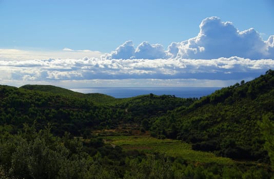 Mljet Coast 08