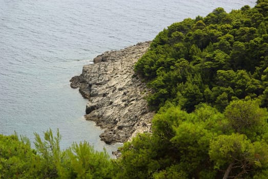 Mljet Coast 05