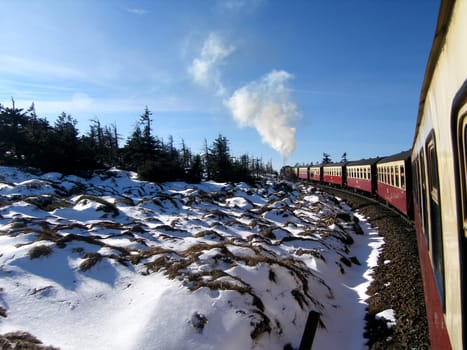 The Harz narrow-gauge railway shortly before the finish - the Brocken! The trees up there have a very hard time because of the high moors. Since the soil is over-acidified,there is a lot of wind and cold,they die prematurely.