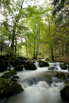 Wild river in a valley