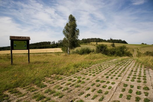 Kolonnenweg