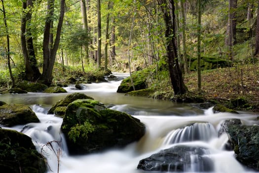 Wild river in a valley