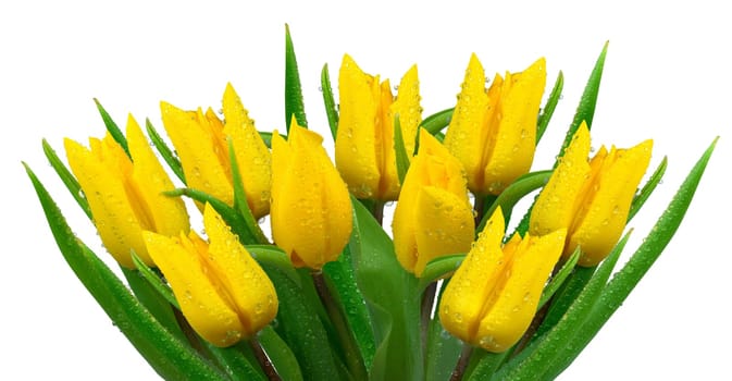 Yellow tulip bouquet