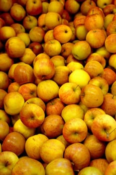 Apples variety Fuji