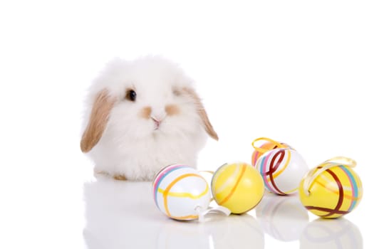 Easter bunny