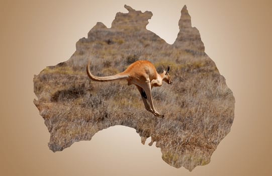 Australian Borderlines