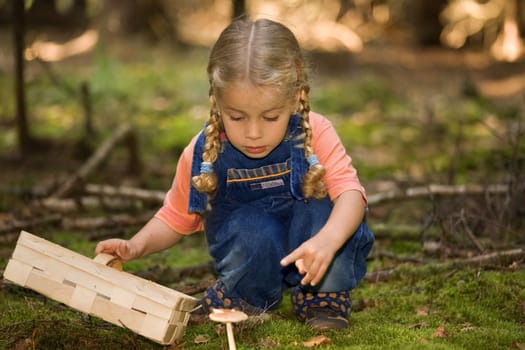 Mushroom picking