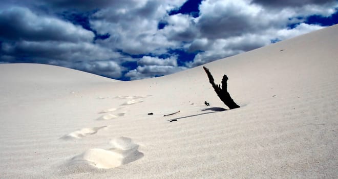 White dunes